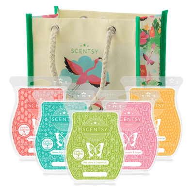 Summer Collection Scentsy Bar 5-pack